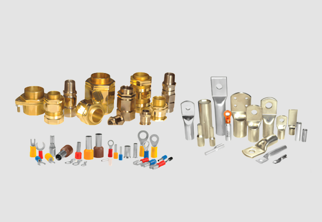 Lugs & Gland
